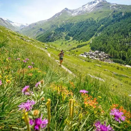 Marcel - Cosy Haven Mont Blanc شامونكس